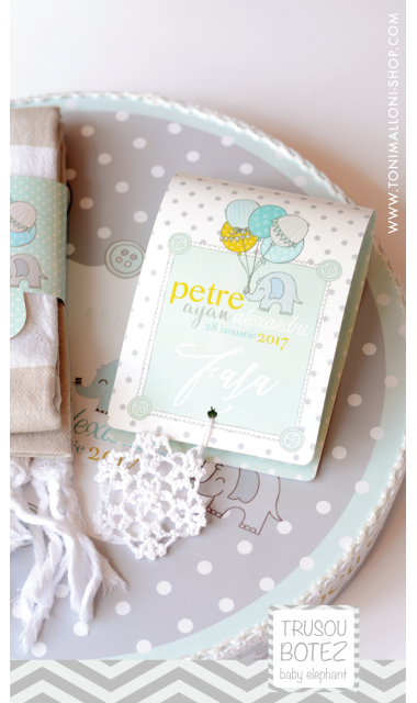 Trusou botez cu elefantei si baloane de aer cald, Grey Baby Elephant  2